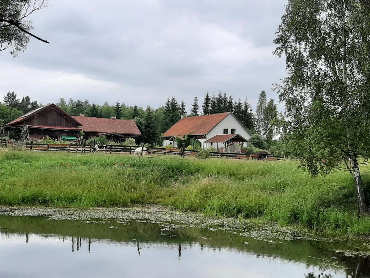 Jablkowo-Na Skraju Puszczy Boreckiej Sniadania W Cenie Jablonowo Buitenkant foto