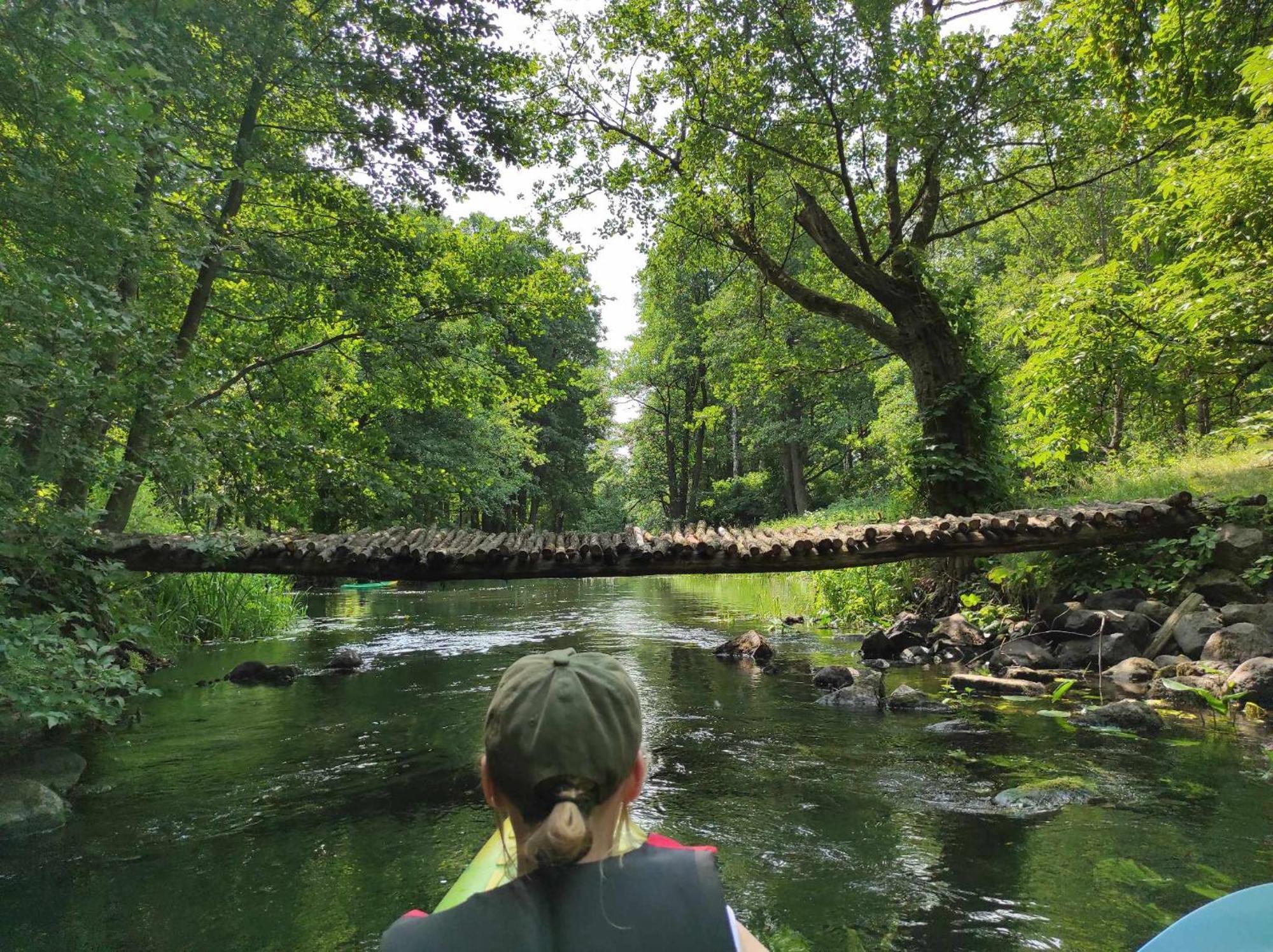 Jablkowo-Na Skraju Puszczy Boreckiej Sniadania W Cenie Jablonowo Buitenkant foto