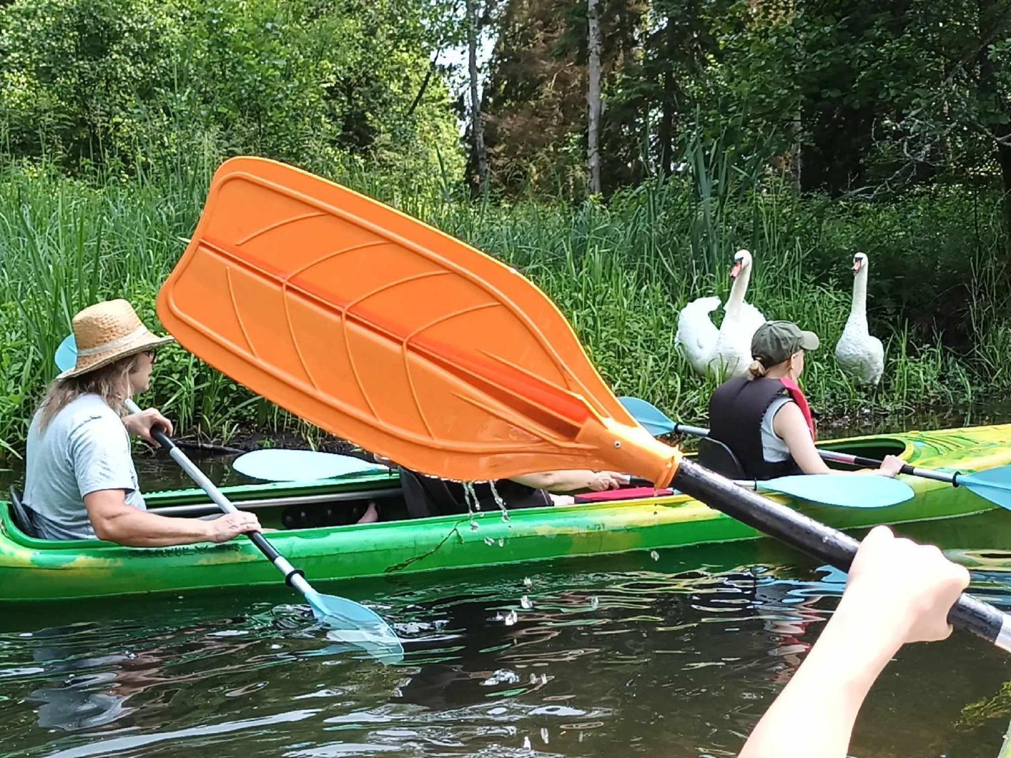 Jablkowo-Na Skraju Puszczy Boreckiej Sniadania W Cenie Jablonowo Buitenkant foto