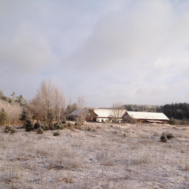 Jablkowo-Na Skraju Puszczy Boreckiej Sniadania W Cenie Jablonowo Buitenkant foto